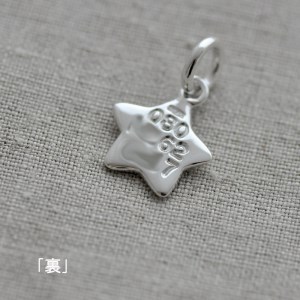 星型迷子札【名入れ無料】:M026
