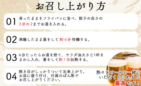 ニラのまち香南市 香南ニラ餃子28個【ぎょうざ ぎょうざ ぎょうざ ぎょうざ ぎょうざ ぎょうざ】 tw-0006