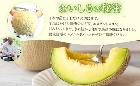 エメラルドメロン 発送開始 1玉 | ブランドメロン JA夜須 yu-0048