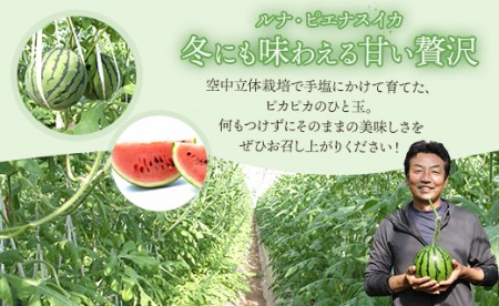 フルーツセット 計2玉 フルーツ エメラルドメロン ルナ・ピエナスイカ yu-0071