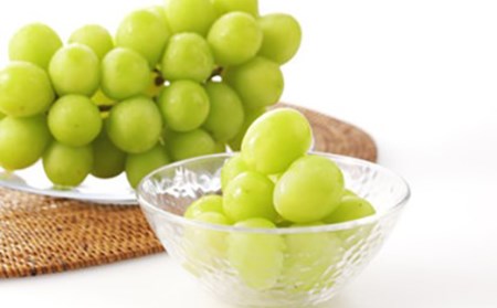 《2026年発送先行予約》やまがた特産フルーツ定期便（全3回） マスカット ぶどう ブドウ 葡萄 デザート フルーツ 果物 くだもの 果実 食品 山形県 FSY-0098