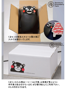 園村苺園　完熟冷凍いちご！「ぷち苺」８カップ練乳付き in くまモンの箱入り _U74-0031