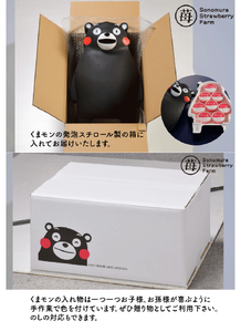 園村苺園　完熟冷凍いちご！「さら苺」８カップ練乳付き in くまモンの箱入り _U74-0034