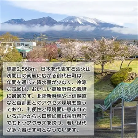 浅間高原 山椒 味噌 200g 自然発酵の手作り高級信州みそ 長野の健康食品調味料_惣菜・加工品   _【配送不可地域：離島】【1131190】