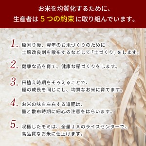 令和7年産 米 金太郎飴生産米 きぬむすめ 山口美祢産 5kg