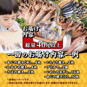 ＜訳あり＞ 干物大満足BOX (40尾以上・5-8種) 訳あり 大満足 BOX セット スピード発送 干物 みりん干し あじ アジ かます カマス ブリ ブリカマ さば いわし たい 鯵 鰤 鯖 鯛 丸干し 開き 魚 海鮮 冷凍 詰め合わせ 簡単調理【AQ68】【やまろ渡邉】