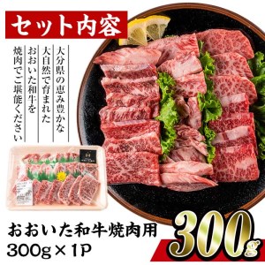 おおいた和牛 焼肉 (300g) 国産 豊後牛 BBQ バーベキュー 惣菜 やきにく おかず 百年の恵み 大分県 佐伯市【BD164】【西日本畜産 (株)】