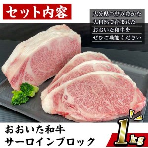 おおいた 和牛 サーロイン ブロック (1kg) 国産 豊後牛 ステーキ BBQ バーベキュー 惣菜 やきにく おかず 百年の恵み 大分県 佐伯市【BD190】【西日本畜産 (株)】