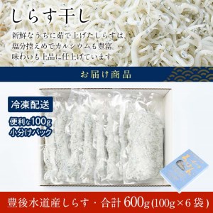  豊後水道産 しらす (合計600g・100g×6袋) 冷凍 しらす しらす丼 丼ぶり 魚 さかな ご飯 ごはん 炒飯 チャーハン パスタ サラダ 国産 大分県 パック 小分け 便利 大分県 佐伯市【CT09】【 (有)高橋商店】