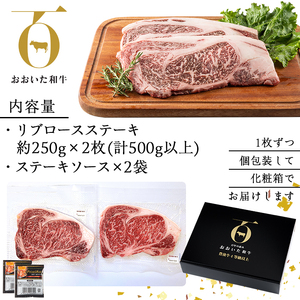 おおいた和牛 リブロースステーキ (計500g・リブロースステーキ約250ｇ×2枚+ステーキソース20g×2袋) 国産 牛肉 肉 霜降り 低温熟成 ステーキ A4 和牛 ブランド牛 BBQ 冷凍 大分県 佐伯市【DH69】【(株)ネクサ】