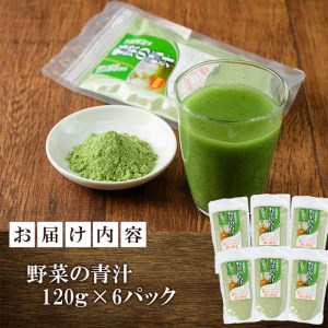 野菜の青汁 (計720g・120g×6P) 青汁 粉末 健康食品 野菜 食物繊維 大分県 佐伯市【EC02】【天然素材 (株)】