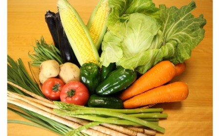 越知産市の季節の野菜セット(年3回発送)