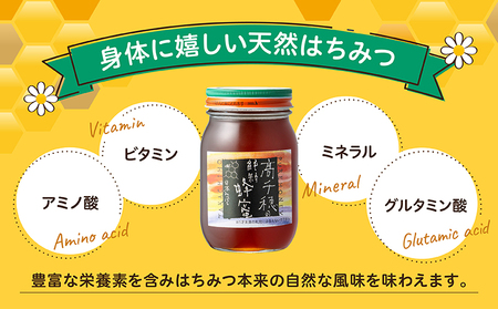 日本みつばち 　高千穂の純粋蜂蜜 600g×2本 セット 日本みつばち 国産はちみつ はちみつ ハチミツ 瓶 蜂蜜 調味料 百花蜂蜜 天然 純粋蜂蜜 自然蜜 セット 贈答 贈り物 ギフト プレゼント お祝い お取り寄せグルメ グルメ 高千穂産 国産 九州 _Tk006-002