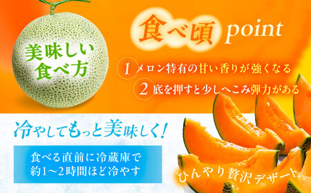 【先行予約】北海道産 高糖度 赤肉メロン 2玉 (合計3.0kg) 品種ルピアレッド ／ あしょろ銀河メロン 果物 ※2026年7月下旬以降発送 [BEAO001]