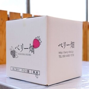 いちご 冷凍いちご 500g×4 イチゴ 苺 果物 デザート ベリー畑 福田ファーム ※配送不可：沖縄、離島 