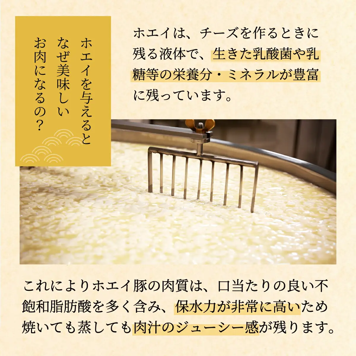 肉のあさひ のぼりべつ乳清豚（ホエー）みそ漬け（ロース肉）100g×8枚[全2回お届け]