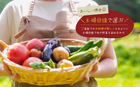 【定期便】淡路島の旬の野菜セット 3ヶ月コース