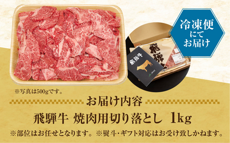 飛騨牛 焼肉 切り落とし 1kg|焼肉