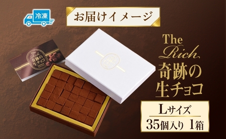 生チョコ Lサイズ 生チョコ生みの親 監修 チョコレート