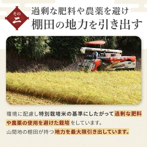 特別栽培 5kg×6か月連続お届け 棚田で育てた魚沼産コシヒカリ 令和7年 | 新潟県 魚沼 米 うちがまき絆 30キロ