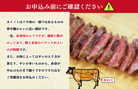 松阪牛 200g(約100g×2枚）カイノミステーキ松阪牛 I82