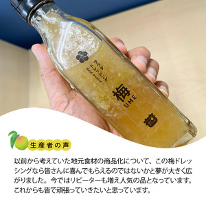 無添加手作り 梅サラダドレッシング（200ml×3本） _K02402