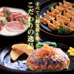 【ブランド豚肉】お米育ちの錦雲豚バラエティギフト（ハム類・餃子・ハンバーグ・カレーのセット）_FN0601