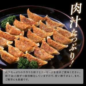 【ブランド豚肉】お米育ちの錦雲豚　手作り生餃子60個（ソーセージ1パック付き）_FN0702