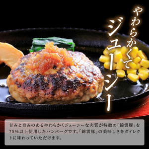 【ブランド豚肉】お米育ちの錦雲豚　お肉屋さんの手作りハンバーグ１０個_FN0802