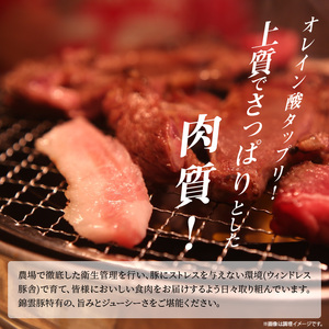 【ブランド豚肉】お米育ちの錦雲豚　ご自宅用1.5kgセット_FN0902
