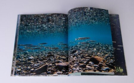 銚子川の水 500ml(24本入) 銚子川の写真集『青の川』1冊【B42】