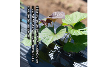 B-005 本格芋焼酎「蔓無源氏」1800ml×2本【かれがぁの焼酎屋谷山酒店】霧島市 地酒 いも焼酎 焼酎 芋 霧島 1.8l 一升瓶