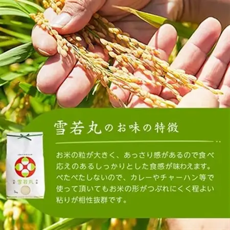 令和7年産　山形県産　雪若丸　5kg_米 こめ 白米 精米 精白米 雪若丸 山形県 ブランド米 産地直送 人気 おすすめ 贈答 ギフト プレゼント 送料無料 お取り寄せ お米 ごはん_【1144533】