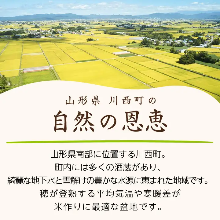令和7年産　山形県産　つや姫・雪若丸　計4kg_米 こめ 白米 精米 精白米 特別栽培米 つや姫 雪若丸 山形県 ブランド米 産地直送 人気 おすすめ 贈答 ギフト プレゼント 送料無料 お取り寄せ お米 ごはん_【1144535】