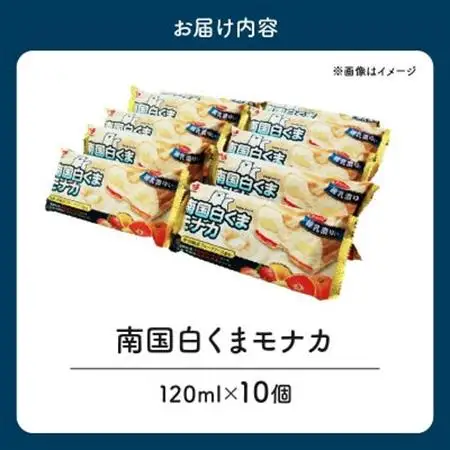 南国白くまモナカ10個セット 008-74【配送不可地域：離島】【1710443】