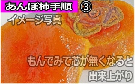 甘さが違う！とっても甘くなる生渋柿（平たねなし柿）あんぽ柿用 T軸枝無 約14.5～15kg　約60～90個＜2026年10月中旬～11月上旬ごろ順次発送＞【art002B】