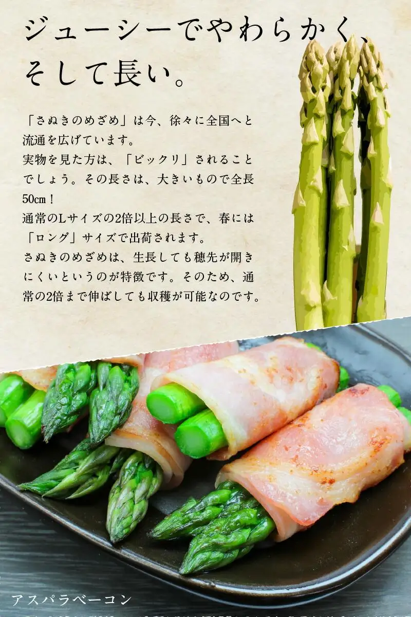 さぬきのめざめ 夏芽 約700g アスパラガス【2026-6月上旬～2026-11月上旬配送】