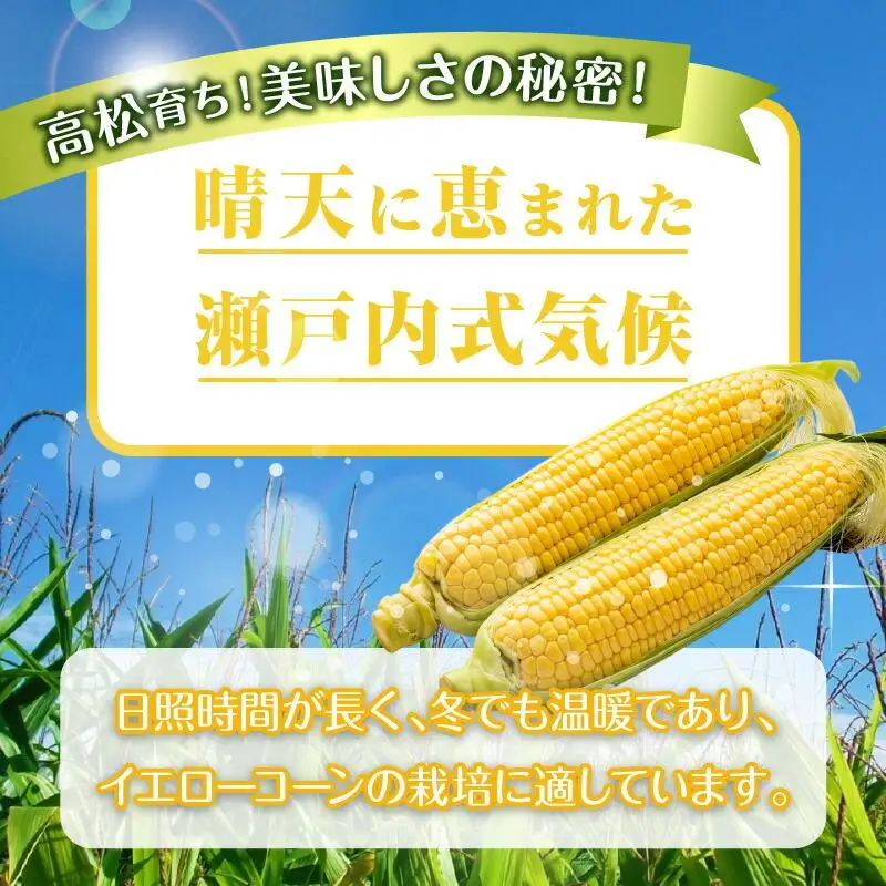 ＼寄附額改定／瀬戸内イエローコーン 約3kg【2026-6月上旬～2026-7月中旬配送】| コーン
