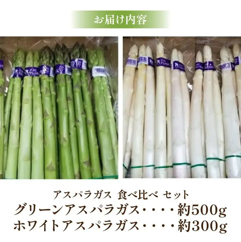 グリーン (約500g)・ ホワイト (約300g) アスパラガス 食べ比べ セット 【2026-3月上旬～2026-9月下旬配送】