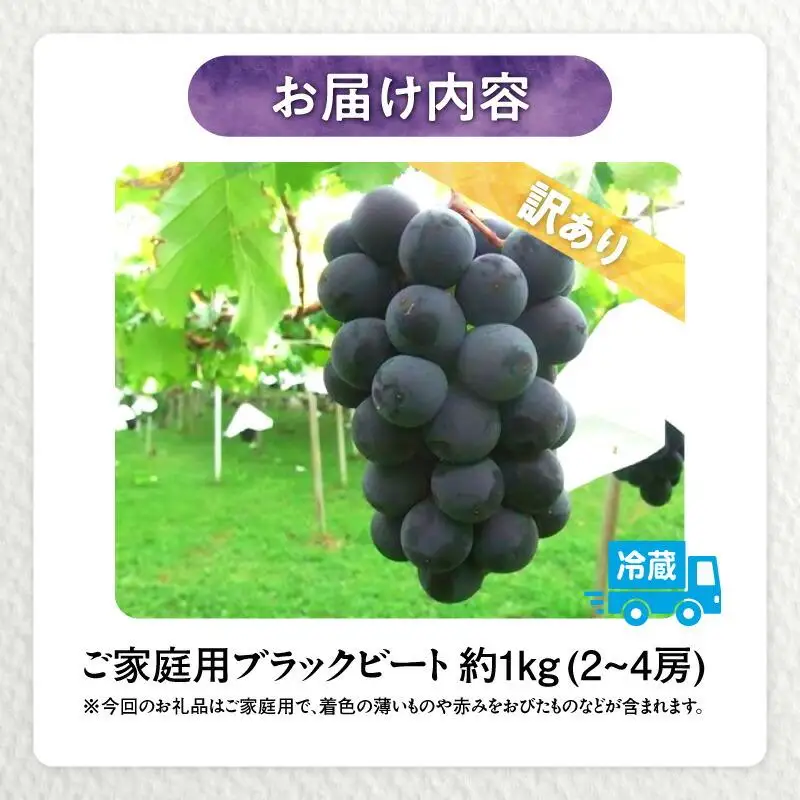 訳あり ご家庭用 ブラックビート 約1kg【2026年8月中旬～2026年9月下旬配送】