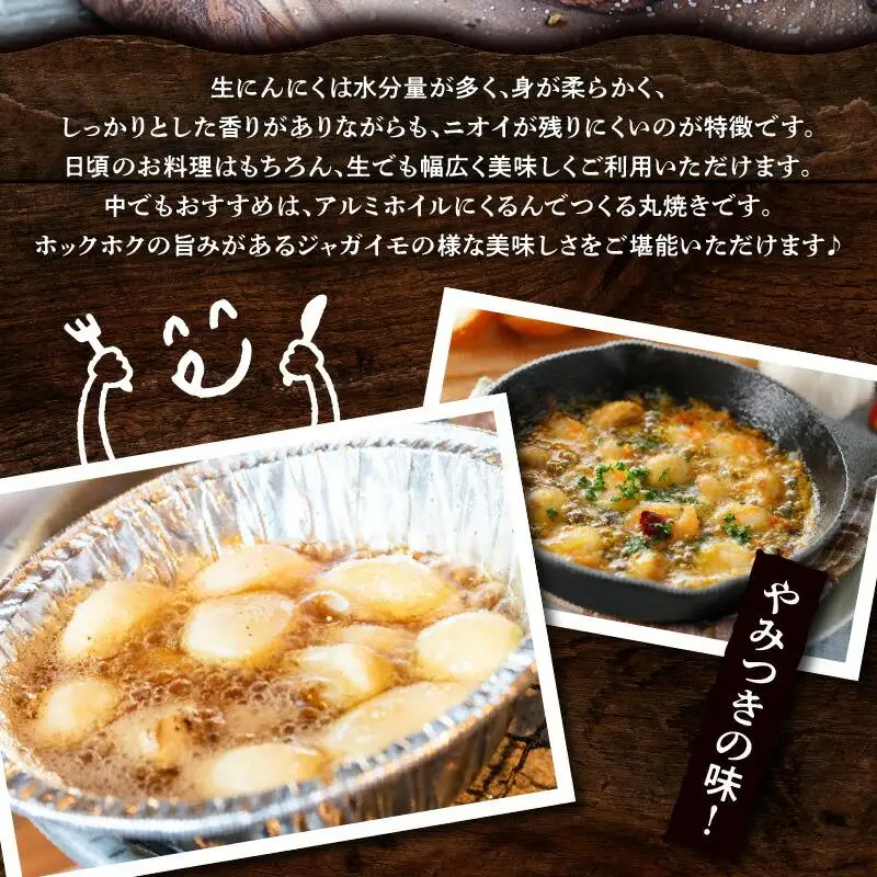 厳選大玉 生にんにく 約2.5kg【2026-5月上旬～2026-6月上旬配送】 | にんにく