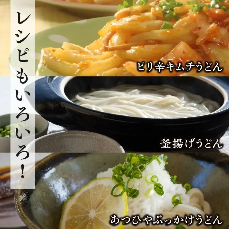 ＜製麺所直送＞乾燥讃岐手打ちうどん普通麺6袋 ・ 細麺6袋(24食分)だし付