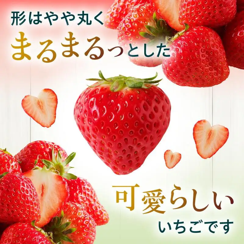 大粒厳選(1粒20g以上)!さぬきひめいちご 約1kg【2027-3月上旬～2027-3月下旬配送】