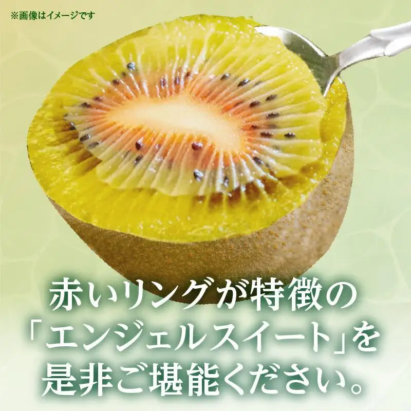 さぬきエンジェルスイート 約2.2kg【2026年11月中旬～2027年1月中旬配送】