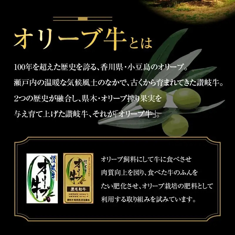 オリーブ 牛  もも スライス 500g × 1パック 3人前 ｜ お肉 オリーブ 牛肉 もも 牛 スライス オリーブ牛 美味しい 人気 おすすめ