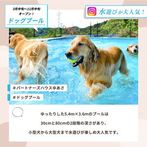 AL6007n_『パートナーズハウスゆあさ』ランチ付き・日帰り利用券（2名様+1頭）【チケット 券 旅行 旅行券 利用券 旅館 トラベル】