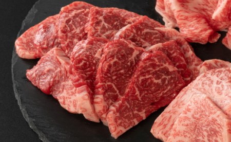 近江牛 焼肉 3点盛 赤身 霜降り 450g 毛利志満 【S034W】【 近江牛 】 牛肉