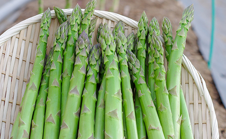 北海道産「夏採れ！北海道アスパラガス」1.4kg