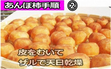 甘さが違う！とっても甘くなる生渋柿（平たねなし柿）あんぽ柿用 T軸枝無 約14.5～15kg　約60～90個＜2026年10月中旬～11月上旬ごろ順次発送＞-AP【art002B】