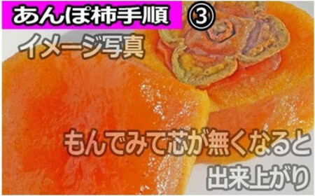 【県認定エコファーマー】あんぽ柿用生渋柿（平たねなし柿） 約4.5～5kg（約20～30玉）【2026年10月中旬～11月上旬ごろ順次発送(日付指定不可)】-AP【art003B】